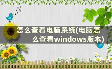 怎么查看电脑系统(电脑怎么查看windows版本)