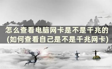 怎么查看电脑网卡是不是千兆的(如何查看自己是不是千兆网卡)