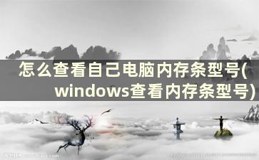 怎么查看自己电脑内存条型号(windows查看内存条型号)