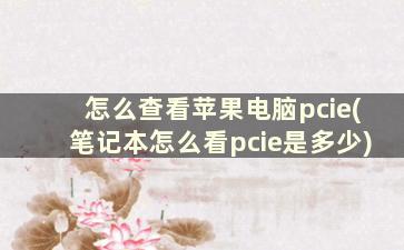 怎么查看苹果电脑pcie(笔记本怎么看pcie是多少)