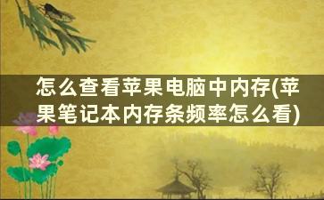 怎么查看苹果电脑中内存(苹果笔记本内存条频率怎么看)