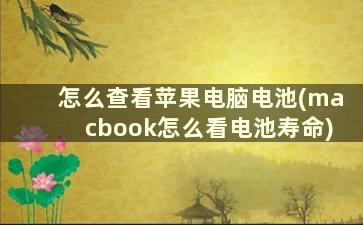 怎么查看苹果电脑电池(macbook怎么看电池寿命)