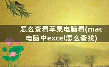 怎么查看苹果电脑看(mac电脑中excel怎么查找)