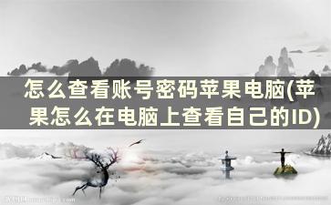 怎么查看账号密码苹果电脑(苹果怎么在电脑上查看自己的ID)