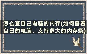 怎么查自己电脑的内存(如何查看自己的电脑，支持多大的内存条)