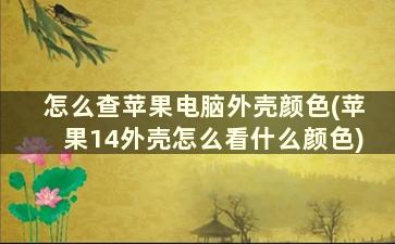 怎么查苹果电脑外壳颜色(苹果14外壳怎么看什么颜色)