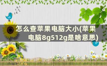 怎么查苹果电脑大小(苹果电脑8g512g是啥意思)