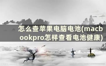 怎么查苹果电脑电池(macbookpro怎样查看电池健康)