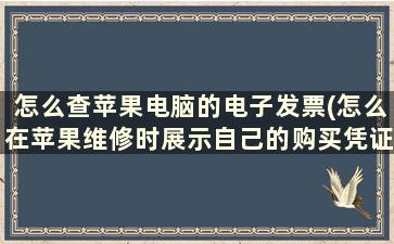 怎么查苹果电脑的电子发票(怎么在苹果维修时展示自己的购买凭证)