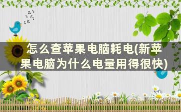 怎么查苹果电脑耗电(新苹果电脑为什么电量用得很快)