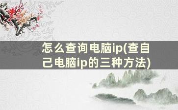 怎么查询电脑ip(查自己电脑ip的三种方法)