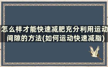 怎么样才能快速减肥充分利用运动间隙的方法(如何运动快速减脂)