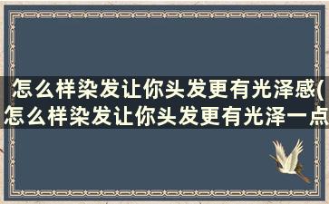 怎么样染发让你头发更有光泽感(怎么样染发让你头发更有光泽一点)