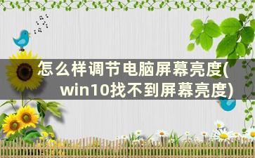 怎么样调节电脑屏幕亮度(win10找不到屏幕亮度)