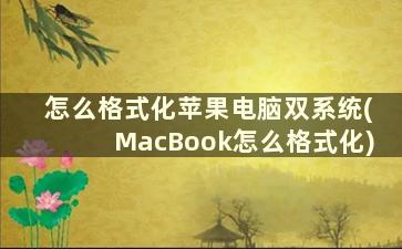 怎么格式化苹果电脑双系统(MacBook怎么格式化)