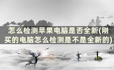 怎么检测苹果电脑是否全新(刚买的电脑怎么检测是不是全新的)