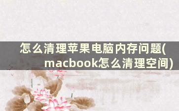 怎么清理苹果电脑内存问题(macbook怎么清理空间)