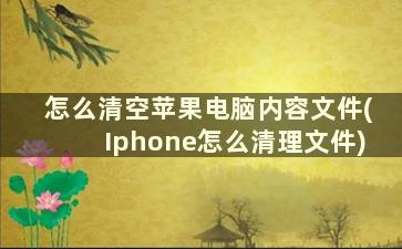 怎么清空苹果电脑内容文件(Iphone怎么清理文件)