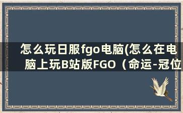 怎么玩日服fgo电脑(怎么在电脑上玩B站版FGO（命运-冠位指定）)