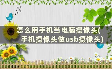 怎么用手机当电脑摄像头(手机摄像头做usb摄像头)