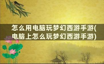 怎么用电脑玩梦幻西游手游(电脑上怎么玩梦幻西游手游)