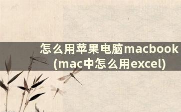 怎么用苹果电脑macbook(mac中怎么用excel)