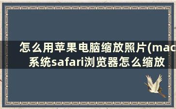 怎么用苹果电脑缩放照片(mac系统safari浏览器怎么缩放大小)