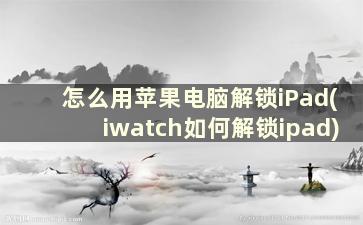 怎么用苹果电脑解锁iPad(iwatch如何解锁ipad)