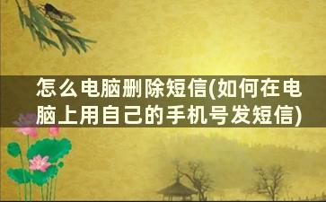 怎么电脑删除短信(如何在电脑上用自己的手机号发短信)