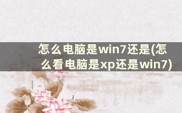 怎么电脑是win7还是(怎么看电脑是xp还是win7)