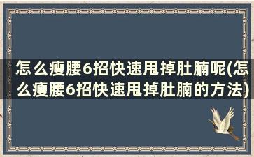 怎么瘦腰6招快速甩掉肚腩呢(怎么瘦腰6招快速甩掉肚腩的方法)