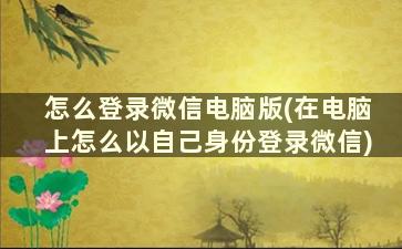 怎么登录微信电脑版(在电脑上怎么以自己身份登录微信)