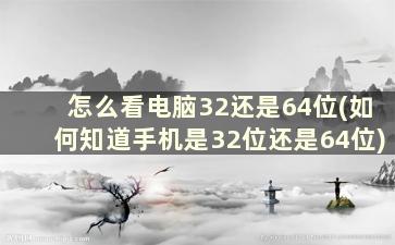 怎么看电脑32还是64位(如何知道手机是32位还是64位)