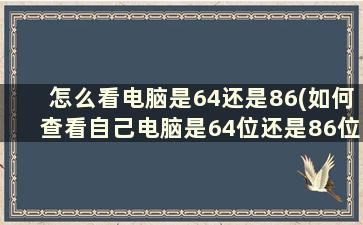 怎么看电脑是64还是86(如何查看自己电脑是64位还是86位)