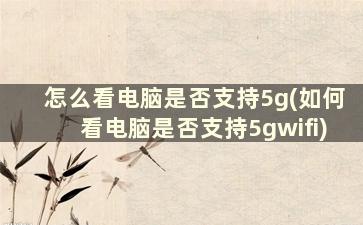 怎么看电脑是否支持5g(如何看电脑是否支持5gwifi)