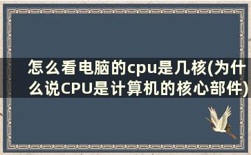 怎么看电脑的cpu是几核(为什么说CPU是计算机的核心部件)