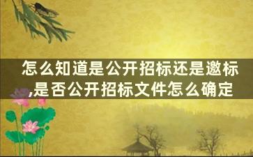 怎么知道是公开招标还是邀标,是否公开招标文件怎么确定