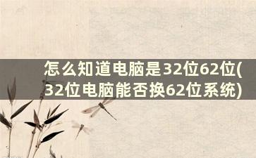 怎么知道电脑是32位62位(32位电脑能否换62位系统)