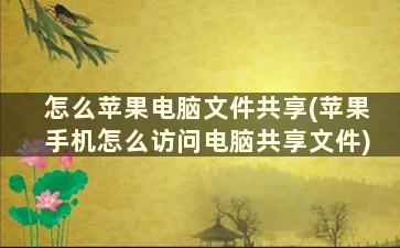 怎么苹果电脑文件共享(苹果手机怎么访问电脑共享文件)