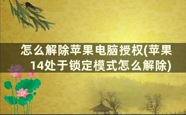 怎么解除苹果电脑授权(苹果14处于锁定模式怎么解除)