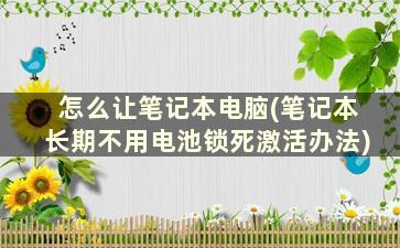 怎么让笔记本电脑(笔记本长期不用电池锁死激活办法)