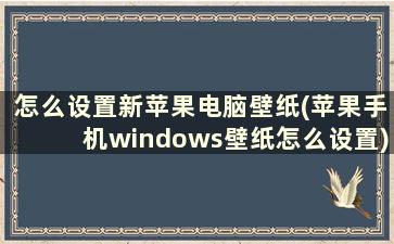 怎么设置新苹果电脑壁纸(苹果手机windows壁纸怎么设置)