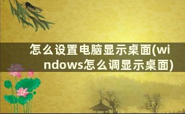 怎么设置电脑显示桌面(windows怎么调显示桌面)