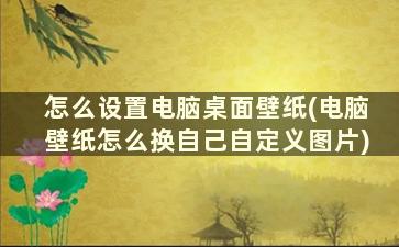 怎么设置电脑桌面壁纸(电脑壁纸怎么换自己自定义图片)