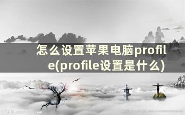 怎么设置苹果电脑profile(profile设置是什么)