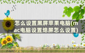 怎么设置黑屏苹果电脑(mac电脑设置熄屏怎么设置)