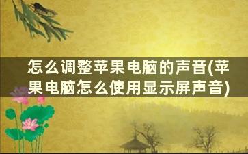 怎么调整苹果电脑的声音(苹果电脑怎么使用显示屏声音)