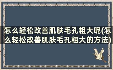 怎么轻松改善肌肤毛孔粗大呢(怎么轻松改善肌肤毛孔粗大的方法)