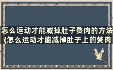 怎么运动才能减掉肚子赘肉的方法(怎么运动才能减掉肚子上的赘肉)