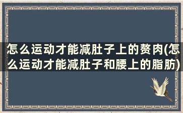 怎么运动才能减肚子上的赘肉(怎么运动才能减肚子和腰上的脂肪)